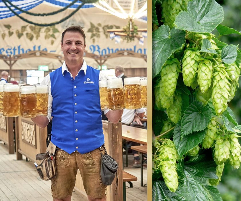 Mainburger Gallimarkt auf der Schöllwiese in der Festhalle Bayernland.