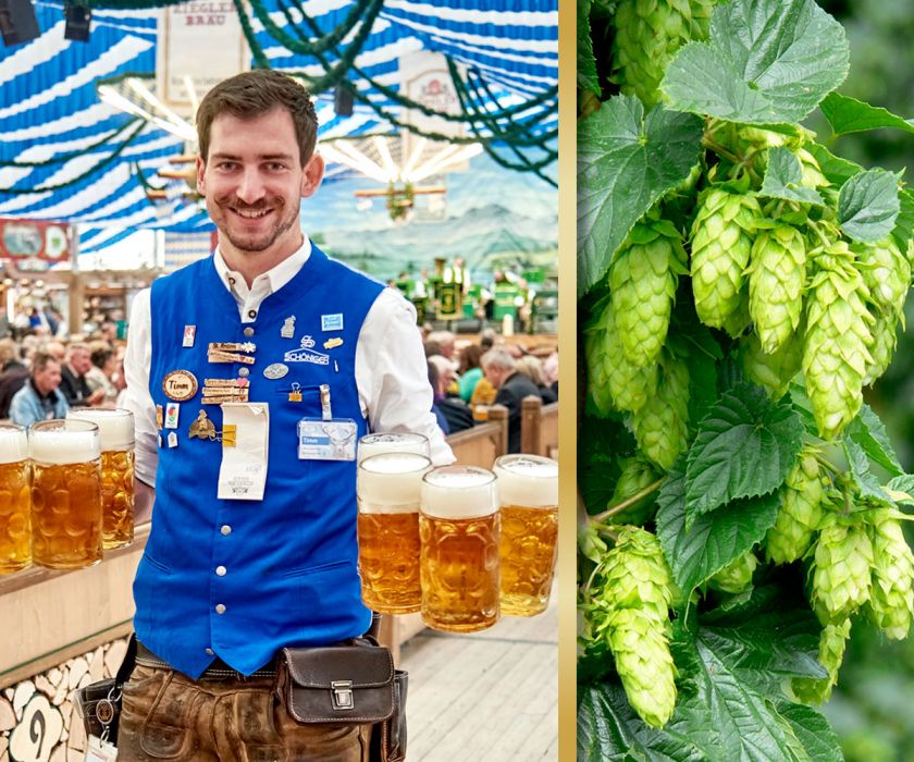 Reservierung Gallimarkt Mainburg